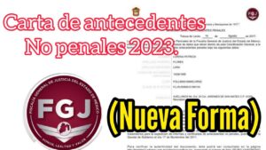 Tasa de Antecedentes Penales 2024: Descarga el PDF y Conoce los Requisitos